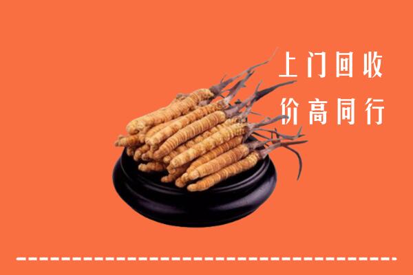 高价求购：淄博回收散虫草