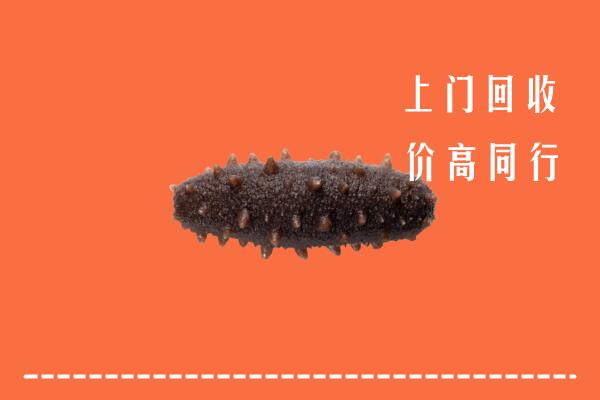 高价求购：淄博回收海参
