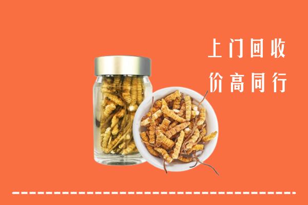 淄博回收冬虫夏草