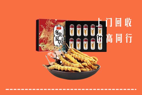 淄博回收虫草